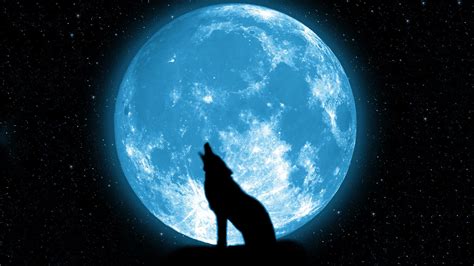 wolf howling   moon wallpapers hd desktop  mobile backgrounds