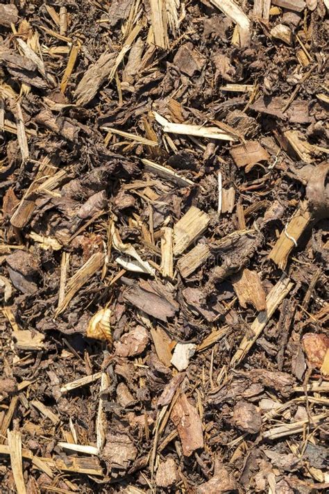 gardens texture landscaping bark chippings stock photo image
