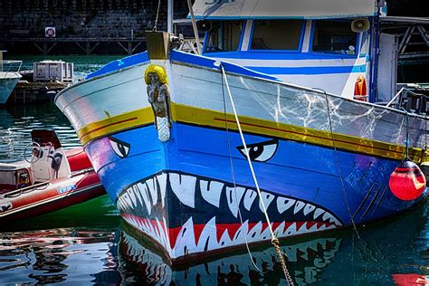 gratis afbeeldingen zee water boot vervoer voertuig blauw haven zeilboot haai