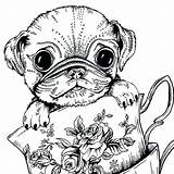 Pug Adults Realistic Colour Bestcoloringpagesforkids Getdrawings Doug Teacup Adultes Reduction Chiens Moins Coloriages Code Getcolorings Colorings sketch template