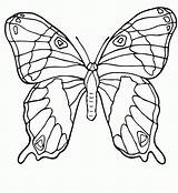 Coloring Pages Para Mariposas Visitar Kids Butterflies Fun sketch template