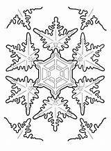 Coloring Snowflake Snowflakes Pages Printable Christmas Kids Amazing Fractal Frozen Bestcoloringpagesforkids Color Dover sketch template
