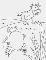 Coloring Aesop Ox Frogs Pages Frog Kids Choose Board sketch template