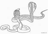 Schlange Ausmalbilder Snakes Cobra Ausmalbild Schlangen Ausdrucken Ausmalen Cool2bkids Ninjago Malvorlagen Malen sketch template