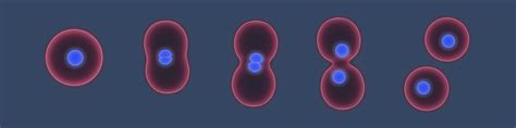 Cell Division – Dna Replication Mitosis And Meiosis Good Science
