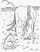 Cavallo Cavalli Schleich Stampare Bambina Incantevole sketch template