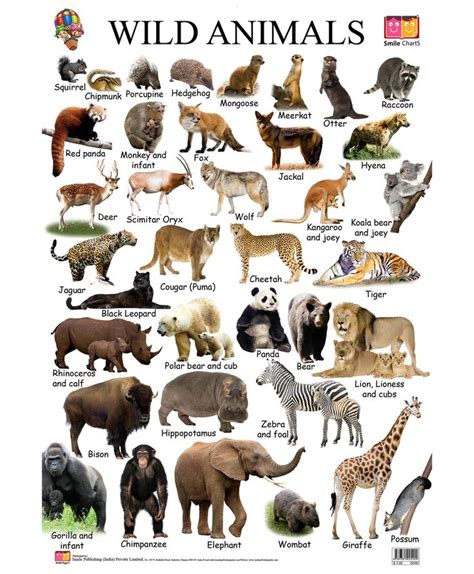 animal names  complete temal