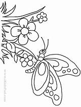 Butterfly Coloring Flower Pages Embroidery Cute Drawing Line Butterflies Drawings Patterns Printable Kids Adults Clip Book Cliparts Cartoon Beautiful Flowers sketch template
