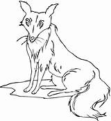 Fox Coloring Pages Sitting sketch template