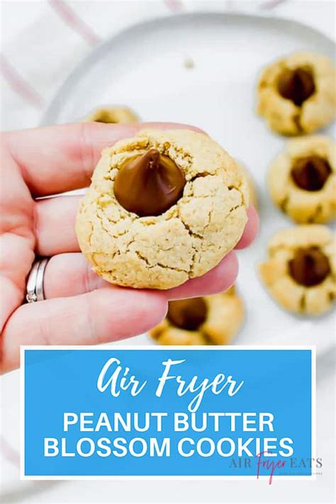 air fryer peanut butter blossom cookies air fryer eats