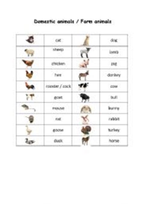 english worksheets domestic animals