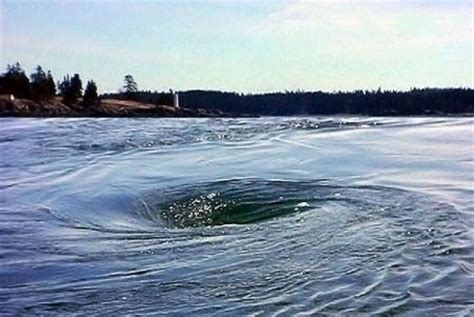 sow whirlpool bay  fundy