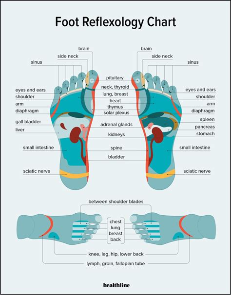 foot pain bottom side  foot diagram diagrams resume template