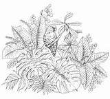 Tropicali Pappagallo Tropical Piante Colorare Tropicales Reposant Plantes Perroquet Coloring Profilo Adulti Terapia Foglie Bambini Seduta sketch template