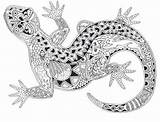 Zentangle Gecko Mandalas Ausmalbilder Malvorlagen Boyama Abstrakt Animales Geckos Inspiration Creativity Salamandre Hayvan Paisley Antistress Abstrakte Coccia Stampa Besuchen Wrhs sketch template