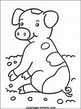 Kleurplaat Varken Kleurplaten Boerderij Boerderijdieren Cochons Coloriages Petits Tekeningen Kleuter Modder Varkentje Cochon Ferme Classe Downloaden Animées sketch template