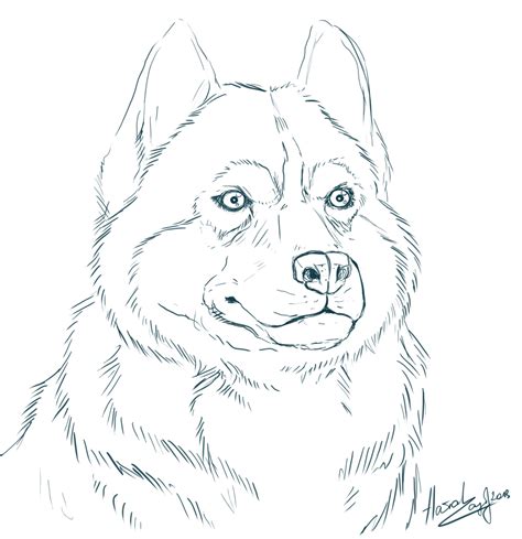 husky coloring page coloring home