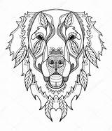 Golden Retriever Zentangle Vector Doodle Drawing Dog Stock Line Illustration Getdrawings Depositphotos sketch template