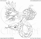 Snake Tree Coloring Outline Clipart Illustration Royalty Rf Bannykh Alex sketch template
