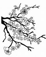 Coloring Cherry Blossom Tree Pages Flower Blossoms Lotus Japanese sketch template