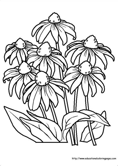 flower coloring coloring pages   kids