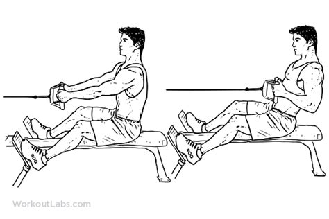 seated low cable row illustrated exercise guide workoutlabs