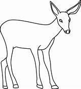 Mule Wedrawanimals sketch template