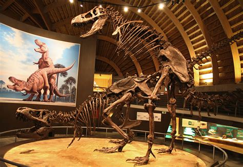 Five Things We Don’t Know About Tyrannosaurus Rex Science Smithsonian