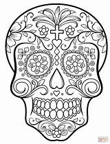 Coloring Skull Sugar Pages Printable Dead Super sketch template
