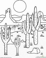 Desierto Cactus Giddy Junction Ecosistema Colouring Biome Mojave Landscaping Vbs Bordado Plains Scene Paisaje Ecosystem Cowboy Longs Roam Child Bordados sketch template