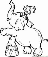 Coloring Pages Elephants Popular Elephant sketch template