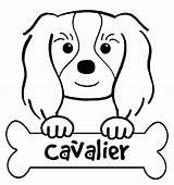 Charles King Spaniel Coloring Cavalier Pages Printable Dog Drawing Cartoon Designlooter Dogs 705px 81kb Cute Getdrawings Choose Board Spaniels sketch template