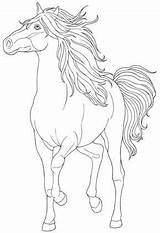 Dover Publications Welcome Artwork Doverpublications Horses Haven Draw Creative Color Coloring Pages Horse sketch template