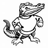 Gator Gators Webstockreview Clipground sketch template