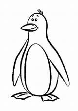 Penguin Penguins Pinguin Emperor sketch template