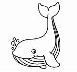 Whale Coloring Little Animals Book Coloringcrew Pages Printable Drawing sketch template