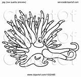 Nudibranch Clipart Slug Sea Illustration Royalty Vector Bannykh Alex Clip sketch template