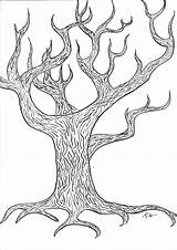 Outline Tree Oak Drawing Paintingvalley sketch template