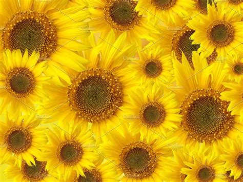 sunflowers patterned background  truemitra designs  atcreativemarket