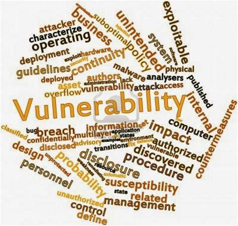 find vulnerability  website toolstop bugs
