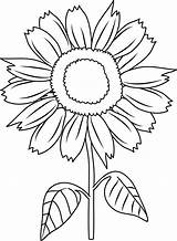 Coloring Sunflower Clipart Sunflowers Clip Flower Outline Sun Color Drawing Cartoon Pretty Line Pages Cliparts Flowers Transparent Sheets Getdrawings Mowing sketch template