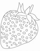 Strawberry Coloring Pages Fruit Kids sketch template