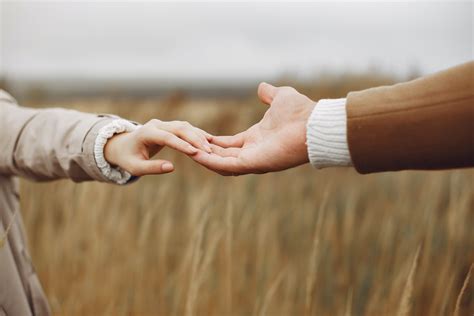 young couple holding hands gently  field  stock photo