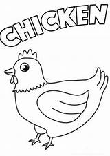 Chicken Pages Tulamama Chickens sketch template