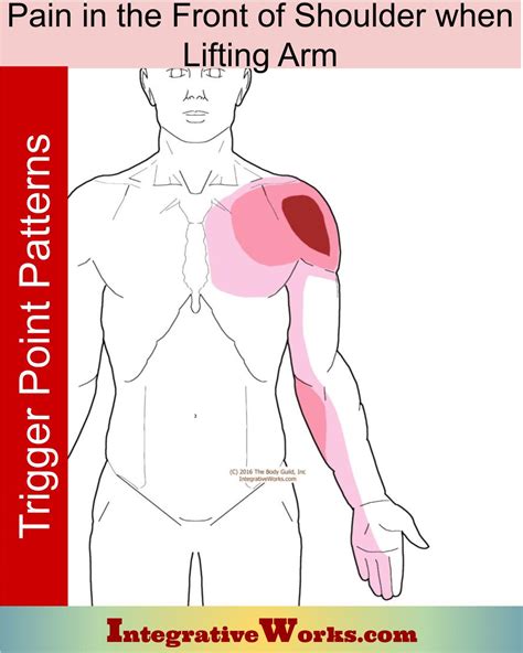 pain   front  shoulder  lifting arm integrative works