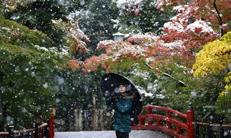 tokyo sees  november snow     years video strange sounds