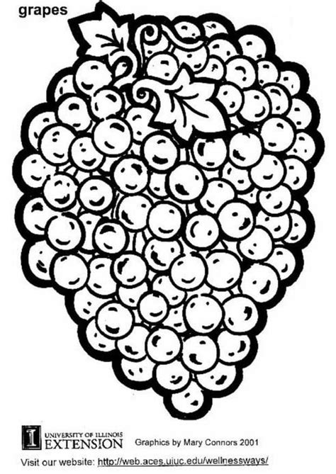 coloring page grapes  printable coloring pages img