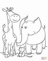 Giraffe Coloring Elephant Pages Mouse Giraffes Drawing Printable Book Outline Color Animals Preschool Drawings sketch template