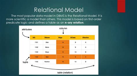 dbms data models  relational data model technology development