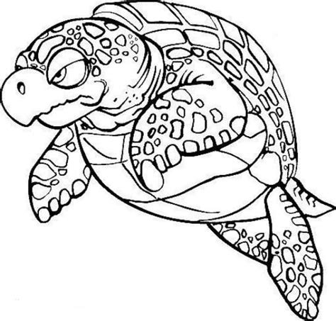image detail  amazing coloring pages  turtle  kids animal